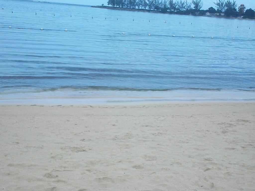 Apartament Turtle Towers Ocho Rios Zewnętrze zdjęcie