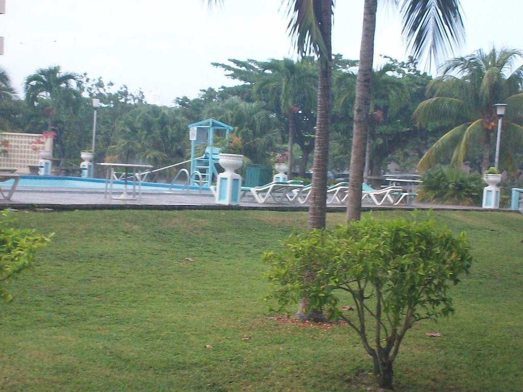 Apartament Turtle Towers Ocho Rios Zewnętrze zdjęcie
